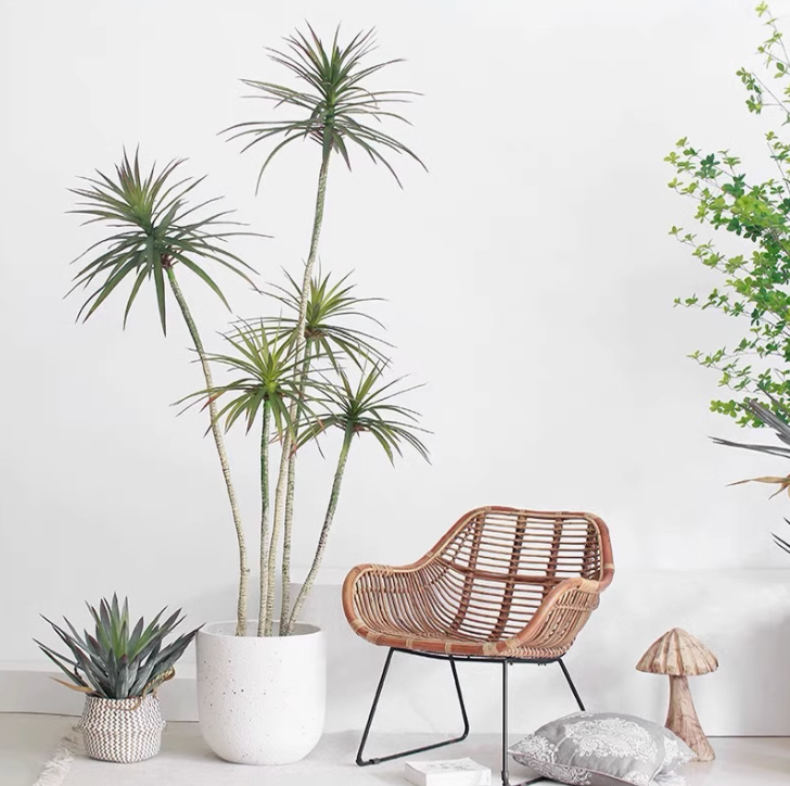 DRAGON TREE - Home Elements