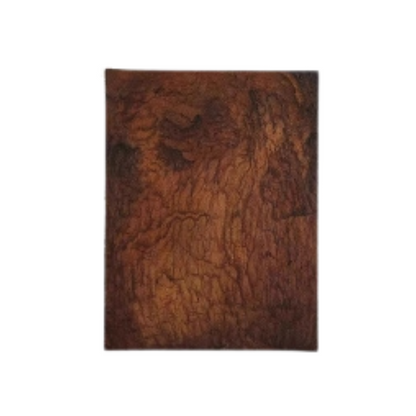 Abstract painting with deep brown tones and textured patterns resembling aged tree bark or natural wood grain.