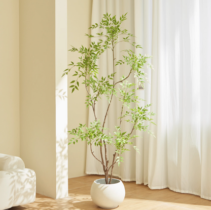 NANDINA TREE - Home Elements
