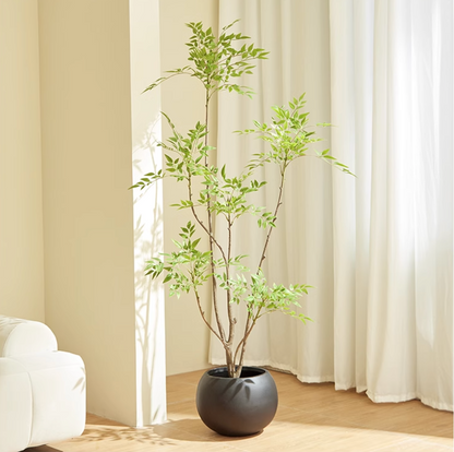NANDINA TREE - Home Elements