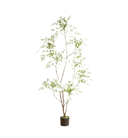 NANDINA TREE - Home Elements